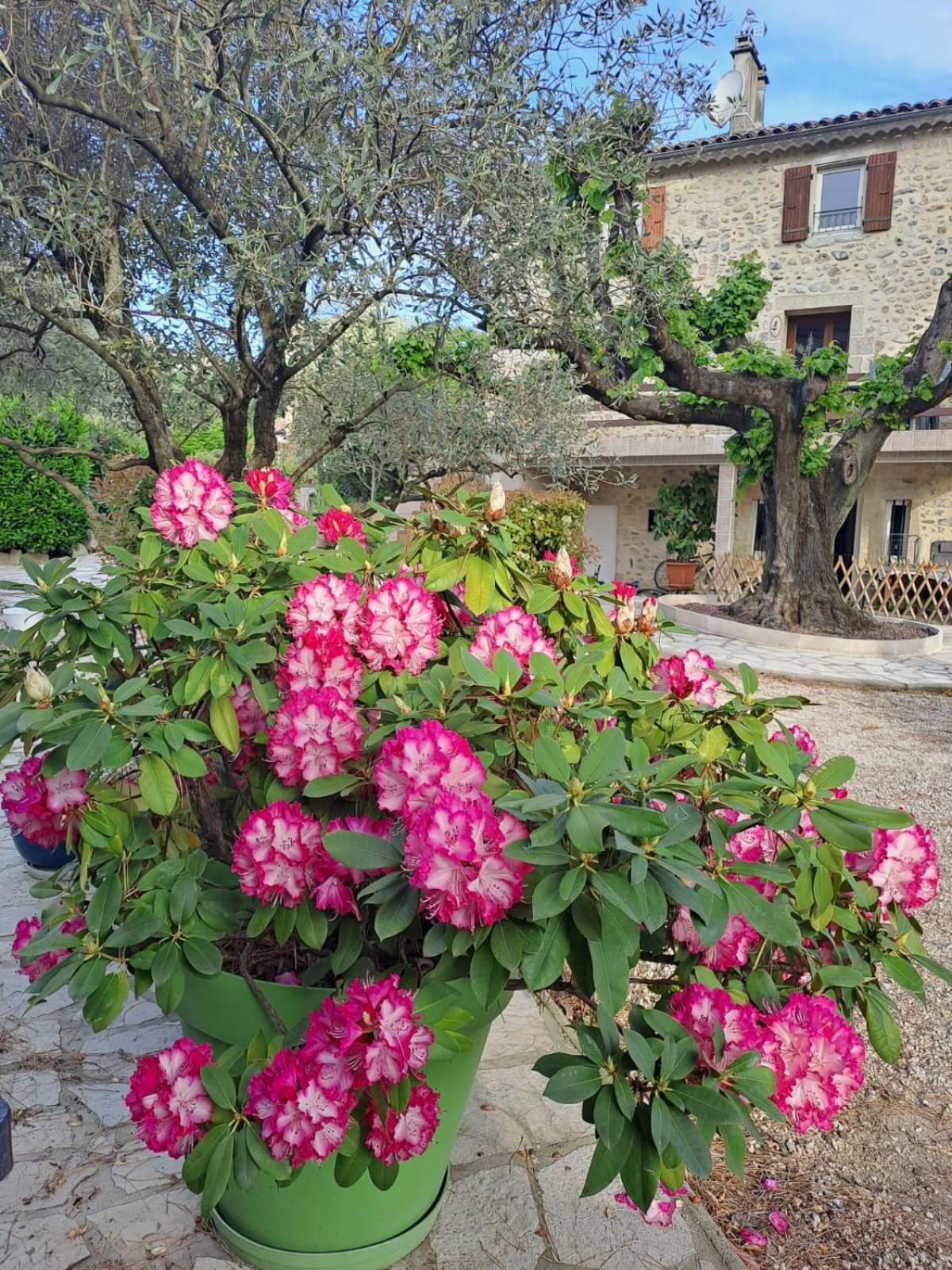 Gite 5 "Le Laurus" Aux Magnolias Aubenas Exterior photo